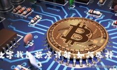 一类数字钱包额度详解：如何选择与使用