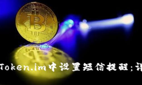 如何在Token.im中设置短信提醒：详细指南