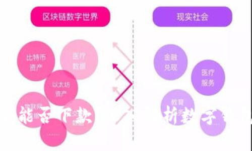 数字钱包到底能否下款？深入解析数字钱包的金融功能