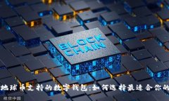 探索地球币支持的数字钱包：如何选择最适合你