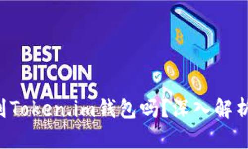 : DOT能提到Token.im钱包吗？深入解析与使用指南