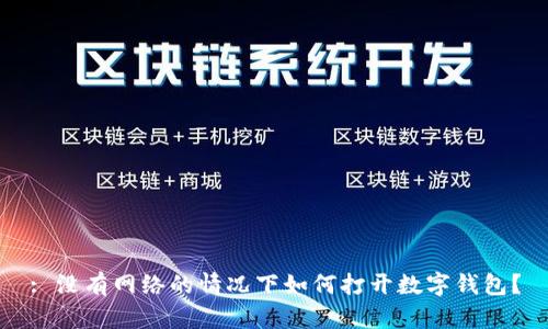 : 没有网络的情况下如何打开数字钱包？
