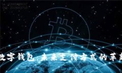 塑料数字钱包：未来支付方式的革新选择