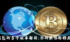   数字钱包的多个版本解析：你的最佳选择是什么
