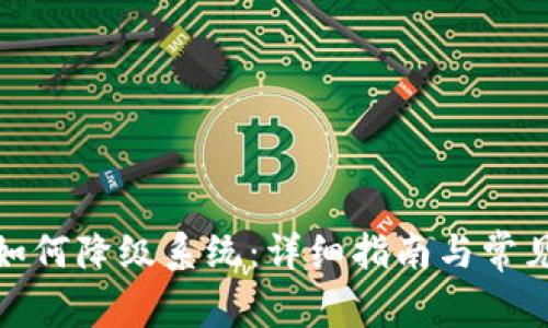 数字钱包如何降级系统：详细指南与常见问题解答