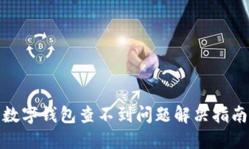 数字钱包查不到问题解决指南