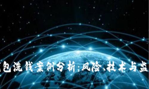 数字钱包洗钱案例分析：风险、技术与监管对策