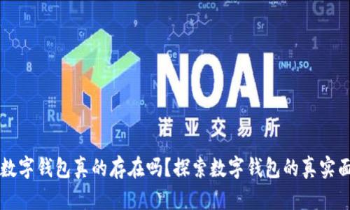 : 数字钱包真的存在吗？探索数字钱包的真实面目