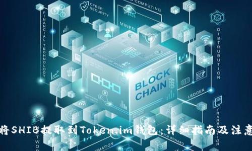 如何将SHIB提取到Token.im钱包：详细指南及注意事项