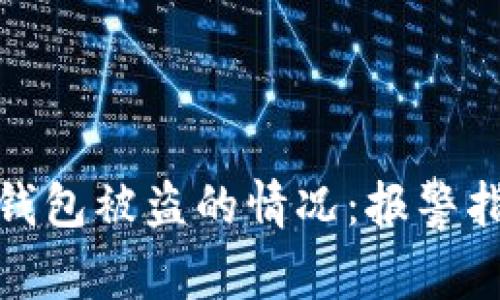 如何处理数字钱包被盗的情况：报警指南与防范措施