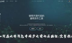 如何在比特钱包中同步之前的区块链：完整指南
