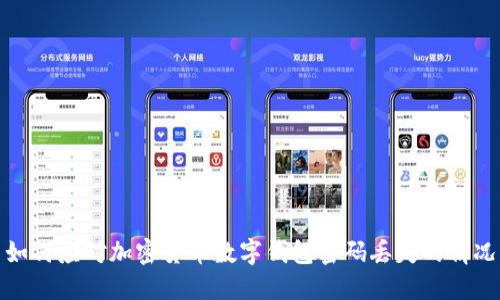 如何应对加密货币数字钱包密码丢失的情况