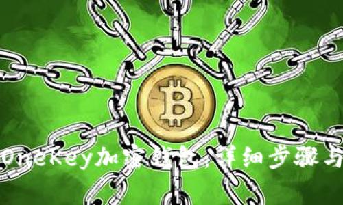 如何下载OneKey加密钱包：详细步骤与注意事项