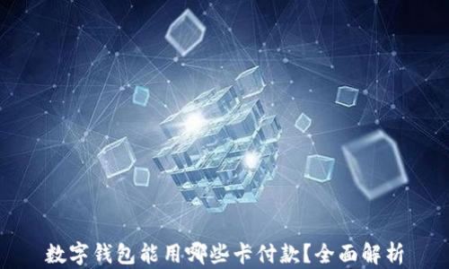 
数字钱包能用哪些卡付款？全面解析