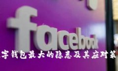 数字钱包最大的隐患及其应对策略