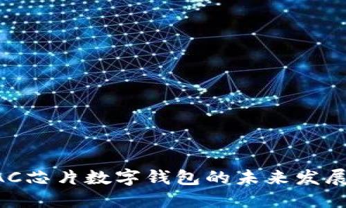 央行BAC芯片数字钱包的未来发展与应用