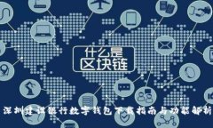 深圳建设银行数字钱包下载指南与功能解析