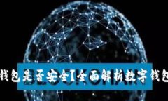 如何判断数字钱包是否安全？全面解析数字钱包