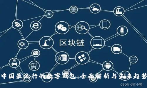 中国最流行的数字钱包：全面解析与未来趋势