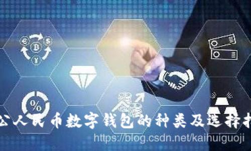 对公人民币数字钱包的种类及选择指南