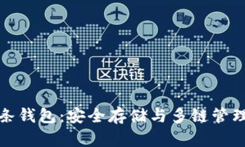 区块链双链条钱包：安全存储与多链管理的完美结合