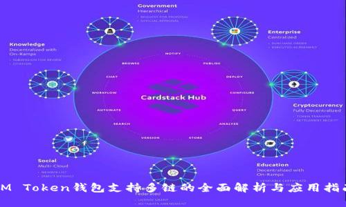 IM Token钱包支持多链的全面解析与应用指南