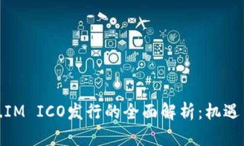 Token.IM ICO发行的全面解析：机遇与风险