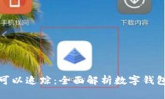 数字钱包是否可以追踪：全面解析数字钱包隐私