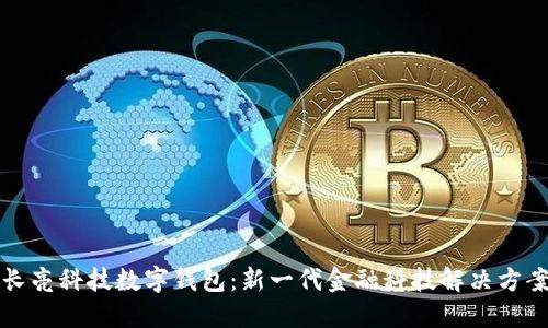 长亮科技数字钱包：新一代金融科技解决方案