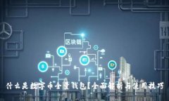 什么是数字币全量钱包？全面解析与使用技巧