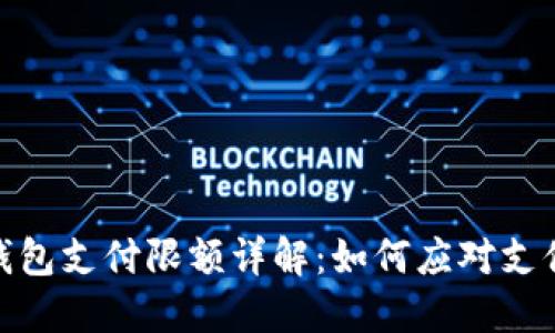 数字钱包支付限额详解：如何应对支付限制