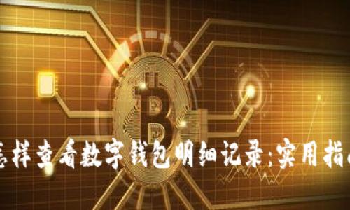 怎样查看数字钱包明细记录：实用指南