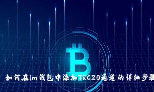 : 如何在im钱包中添加TRC20通道的详细步骤