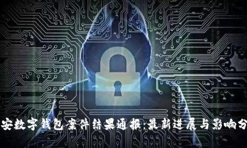 南安数字钱包案件结果通报：最新进展与影响分析