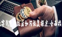 数字钱包降级后如何恢复额度：全面指南