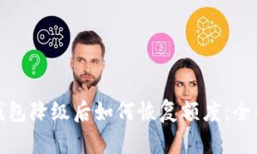 数字钱包降级后如何恢复额度：全面指南
