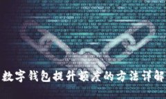 数字钱包提升额度的方法详解