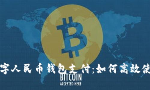 全面解析数字人民币钱包支付：如何高效使用及其前景