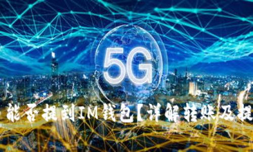 Doge币能否提到IM钱包？详解转账及提现流程