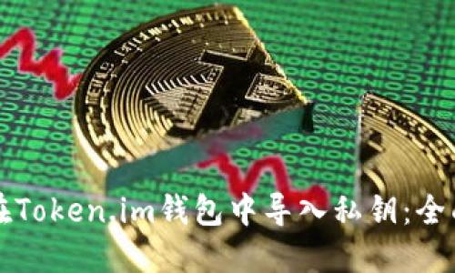 如何在Token.im钱包中导入私钥：全面指南