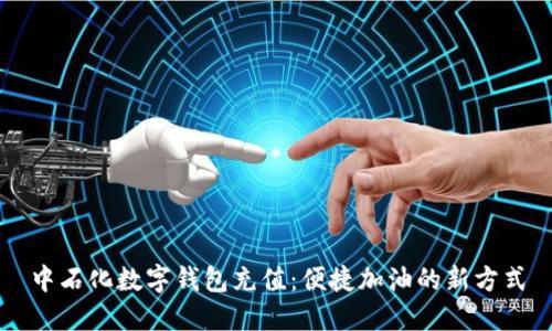 中石化数字钱包充值：便捷加油的新方式