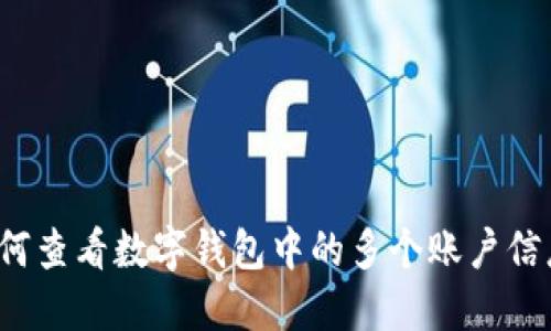 如何查看数字钱包中的多个账户信息？