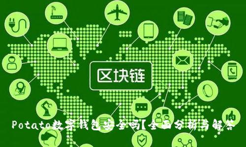 Potato数字钱包安全吗？全面分析与解答