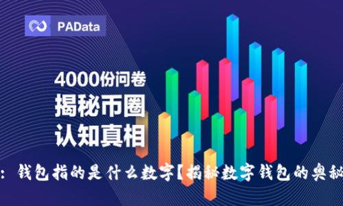 : 钱包指的是什么数字？揭秘数字钱包的奥秘