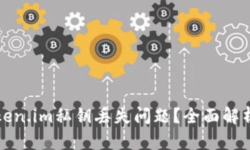 如何处理token.im私钥丢失问题？全面解析及解决方案