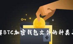 全面了解BTC加密钱包文件的种类与安全性
