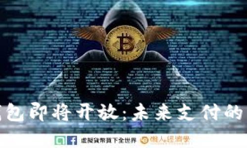 数字钱包即将开放：未来支付的新时代