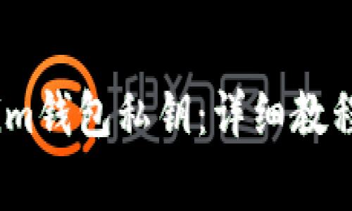 如何提取token.im钱包私钥：详细教程与常见问题介绍