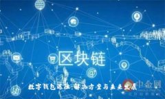 数字钱包遇阻：解决方案与未来发展