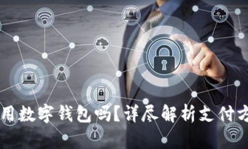 吴江沃尔玛能用数字钱包吗？详尽解析支付方式和使用指南